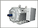 Low Voltage Motor